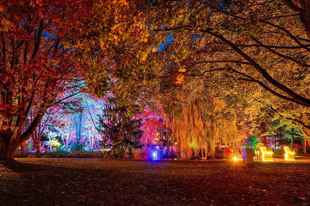 Lichtermeer - Foto: Tourismus-Service Grömitz